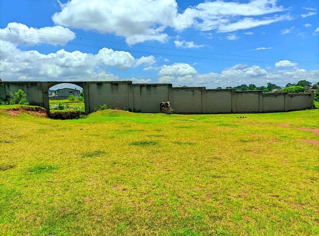 Terrain a vendre Ambomarina itaosy